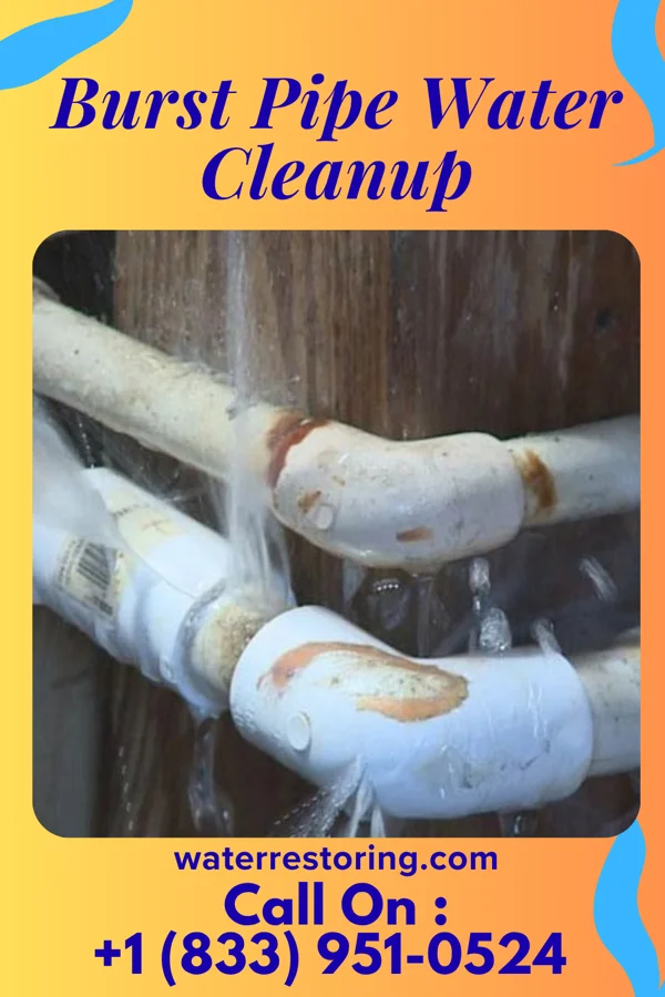 Burst Pipe Water Cleanup in Tumwater, WA
