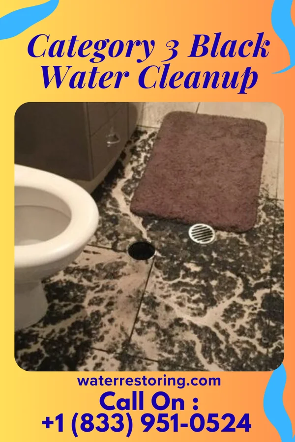 Category 3 Black Water Cleanup in Tumwater, WA