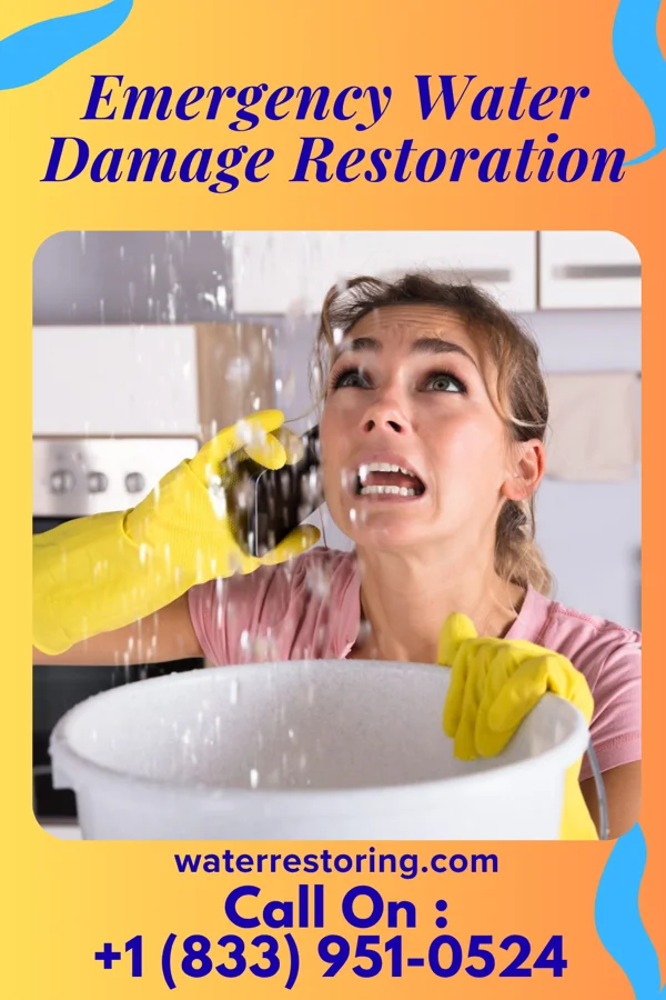 Emergency Water Damage Restoration in Tumwater, WA