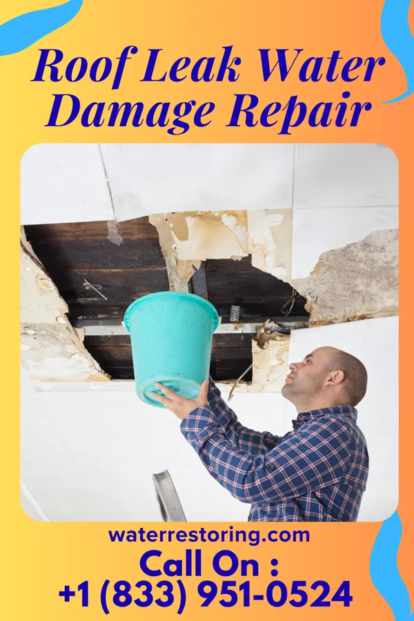 Roof Leak Water Damage Repair in Tumwater, WA