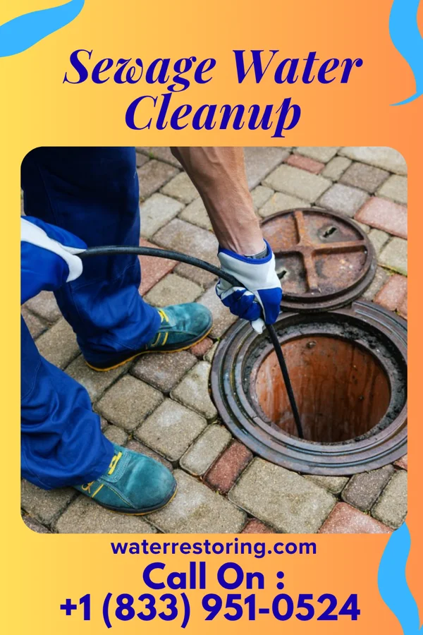 Sewage Water Cleanup in Tumwater, WA