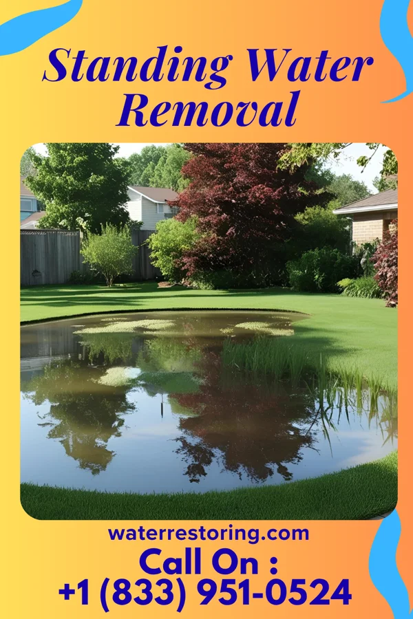 Standing Water Removal in Tumwater, WA